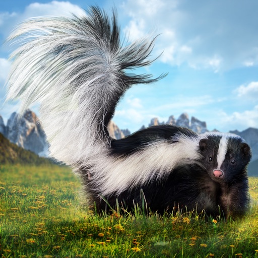 Wild Skunk Survival Simulator