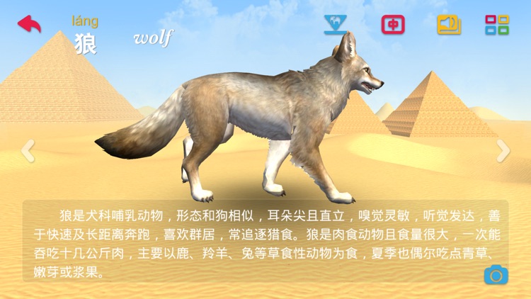 Amazing ZooⅡ-3D-AR Animal Card