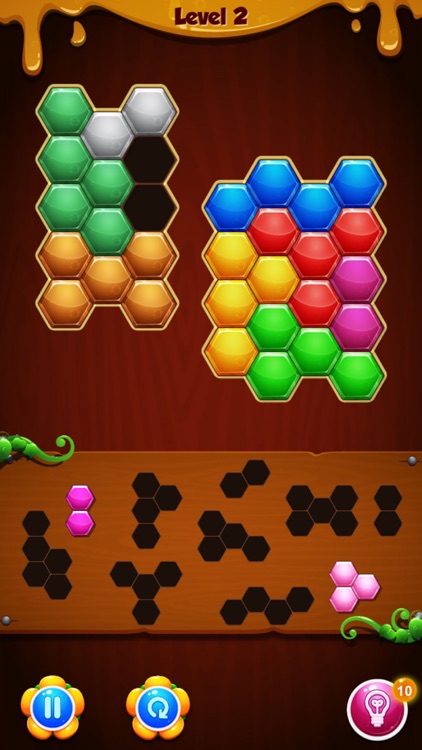 Block Hexa Puzzle - Hexa Block Hexagons