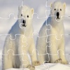 Polar Bear Games Jigsaw Puzzle Kids Version