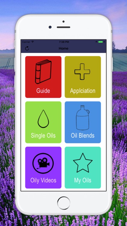 Essential Oils Guide Modern Aromatherapy for EO