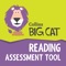 The Big Cat Reading Assessment Tool has been developed specifically to help teachers assess & analyse children’s progress in reading