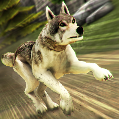 Wolf Simulator 2017 . Wolves Running Game vs Dogs