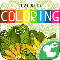 Adults Coloring Book Color Pigment Therapy Pages