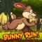 Rabbit run is a game about running the store