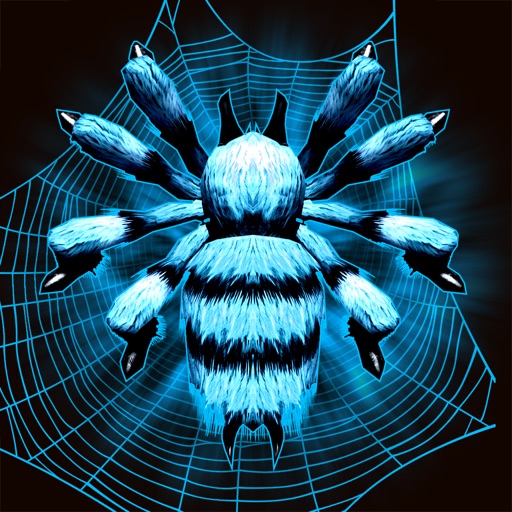 Spider Smash Icon