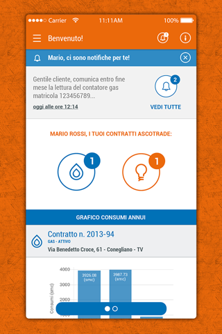 PasubioServizi App gas e luce screenshot 3