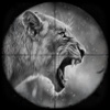 Jungle Mafia Sniper Hunting : 3D FPS Game
