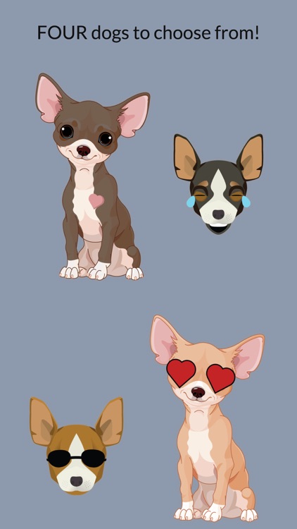Chihuahuamoji - Chihuahua Emoji & Stickers