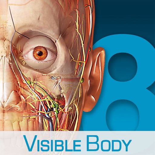 Human Anatomy Atlas - 3D Anatomical Model Body