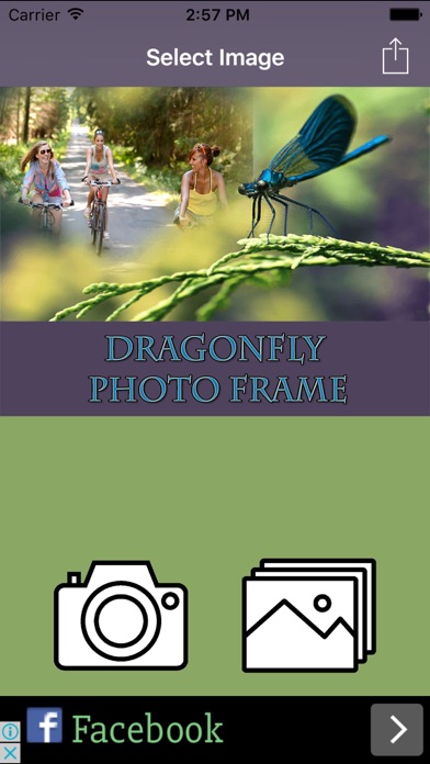 How to cancel & delete Dragonfly HD Photo Collage Frame from iphone & ipad 1