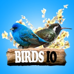 Birds IO (Opoly)