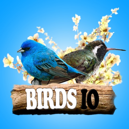 Birds IO (Opoly) icon