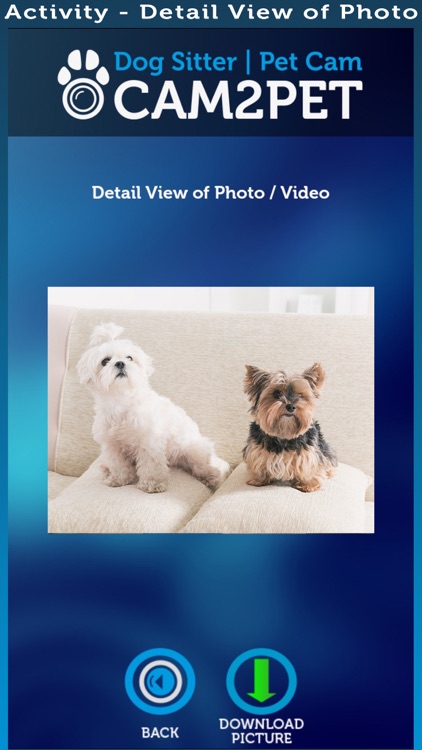 Cam2Pet – Dog Monitor & Pet Camera screenshot-3