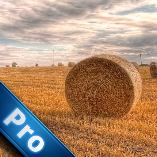 A Ball Of Hay Escapes On The farm PRO icon