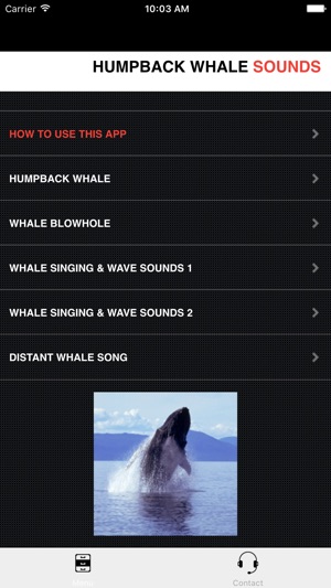 Humpback Whale Sounds!(圖2)-速報App