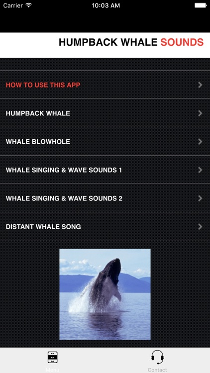 Humpback Whale Sounds!