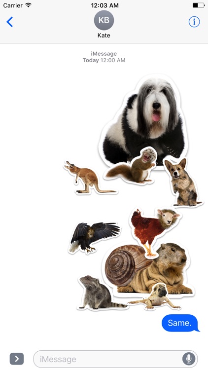 Animal Mashup Stickers