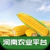 河南农业平台