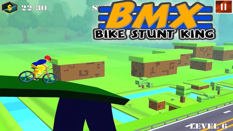 BMX Bike Stunt Race