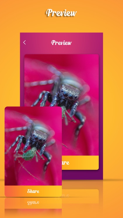 Prank Video - Whats Fun App screenshot-4