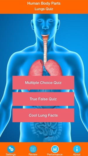 Human Body Parts : Lungs Quiz