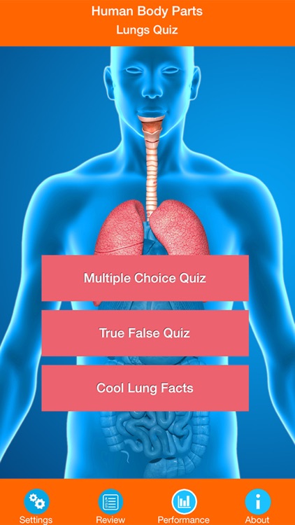 Human Body Parts : Lungs Quiz