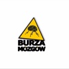 Burza mózgów