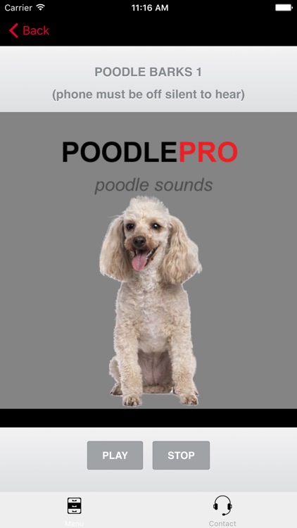 Poodle Dog Sounds