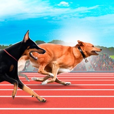 Activities of Greyhound Dog Racing Tournament