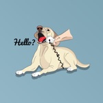 Romeo the Labrador