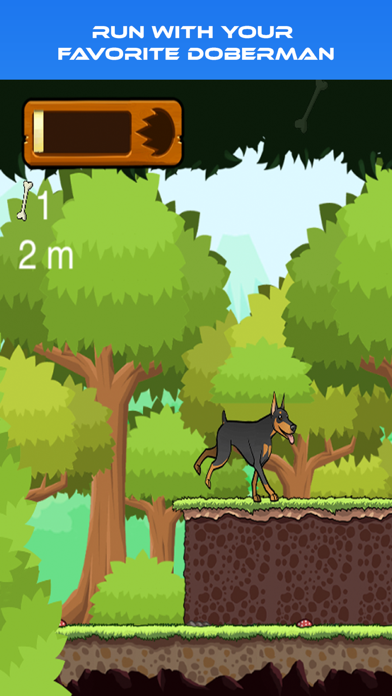 Doberman Runner screenshot 2