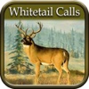 Whitetail Hunting Calls PRO