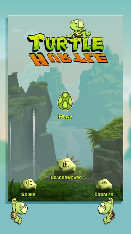 Turtle Hurtle