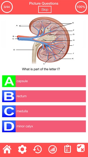 Human Urinary System Quiz(圖2)-速報App