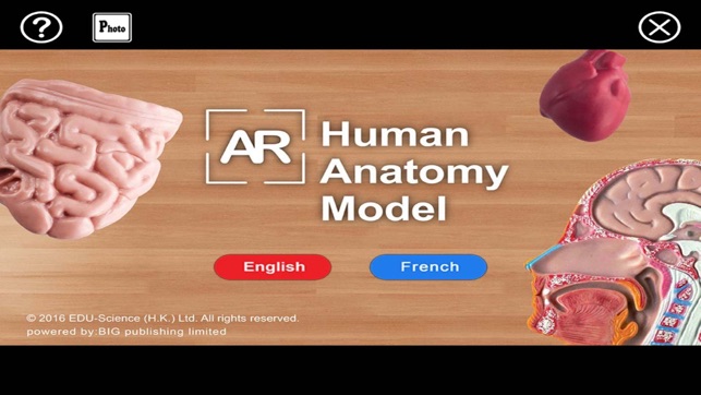 EDU-human-torso-AR