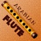 “Arabian Flute” App or “Nay” is a wood wind instrument, sampled with high definition audio technology from the best musicians around the world, change scales, notes and share your own melodies online