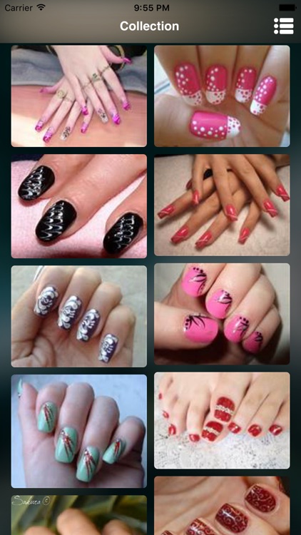 10000+ Nail Art salon & Nail Polish designs free!