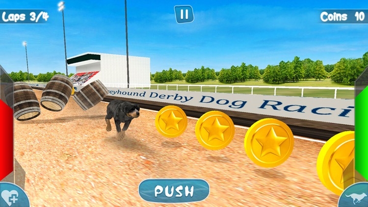 Greyhound Derby Dog Racing - Wild Dog 3D Simulator