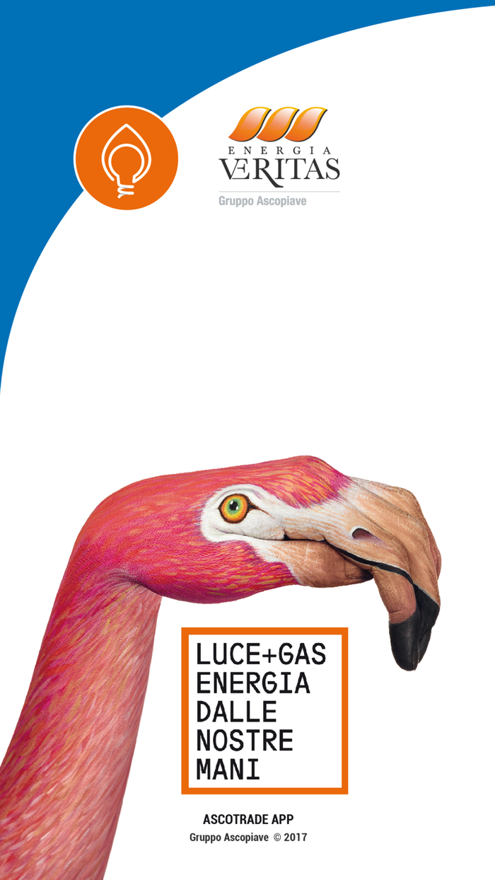 VeritasEnergia App gas e luce