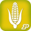 Purdue Extension Corn Field Scout
