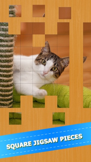 可爱的猫咪 可爱的小猫 猫的游戏 好玩的益智小游戏 Cat Kitten Puzzle Jigsaw(圖3)-速報App