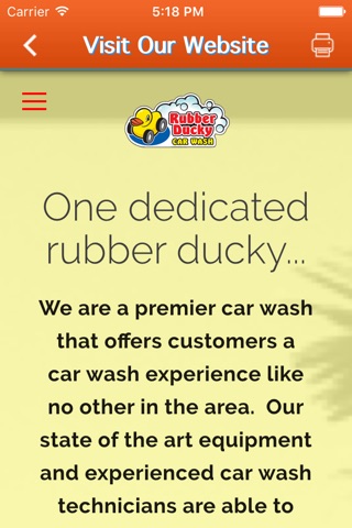 Rubber Ducky Car Wash! screenshot 3