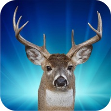 Activities of Deer Hunter Jungle Episode