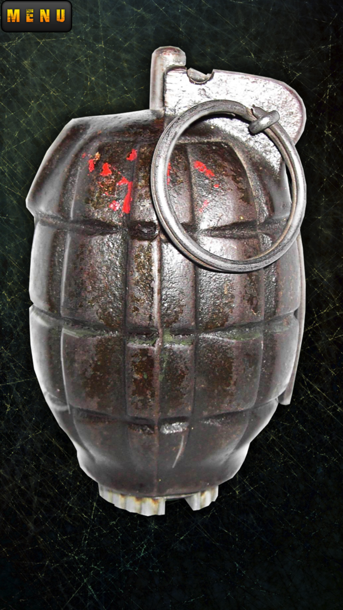 手雷大战 炸弹专家