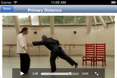 Art of Self-Defence screenshot 2