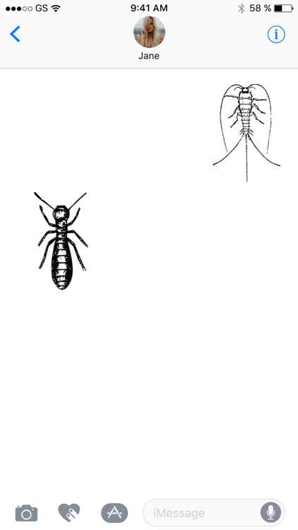 Insect Sticker Pack