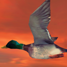 Activities of Duck Hunter Simulator - Free duck hunting games