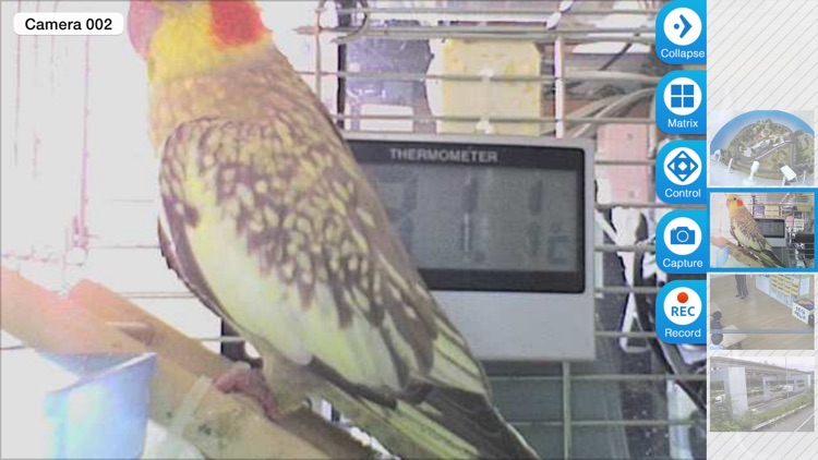 Viewer for Elro IP cameras