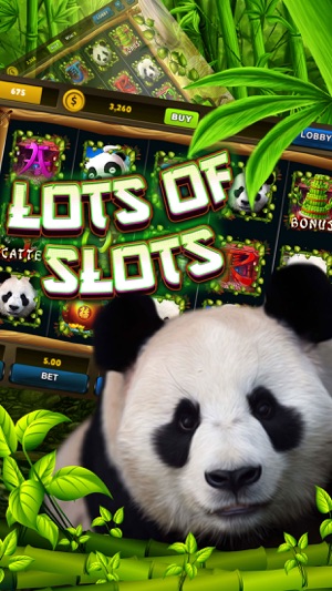 Bravo Panda Slot Machine – New Slot Machines games(圖4)-速報App